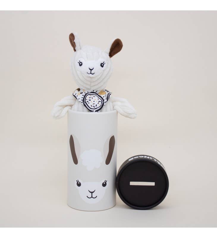 DEGLINGOS PETIT SIMPLEMENT PELUCHE + BOÎTE CADEAU MUCHACHOS LE LAMA