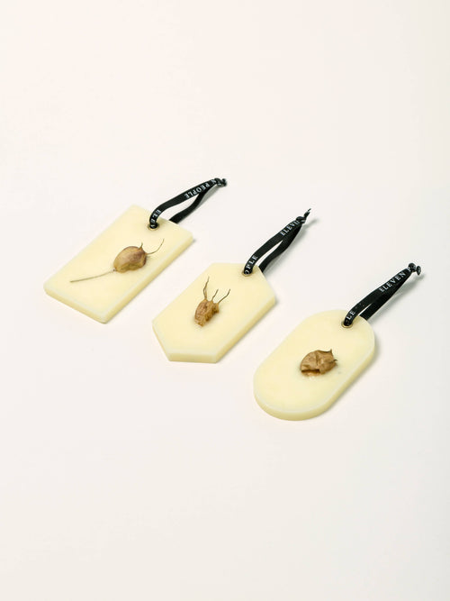 06 Bergamot, neroli and deodorant amber for wax cupboard/2 sizes